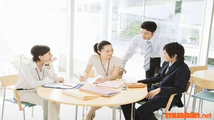 Phòng ban là gì? Hãy cùng Mytour khám phá ngay sau đây!