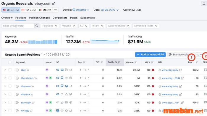 Giao diện của SEMrush