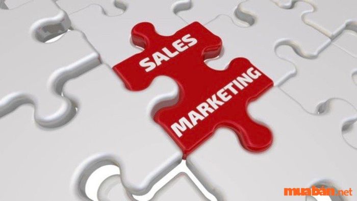 Sales Marketing là gì?