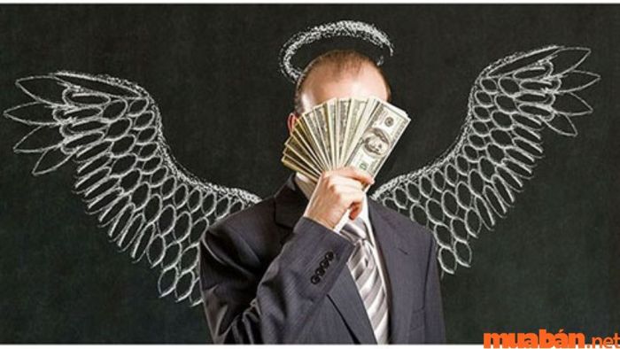 Sự khác biệt giữa Trader, Broker, Holder và Investor