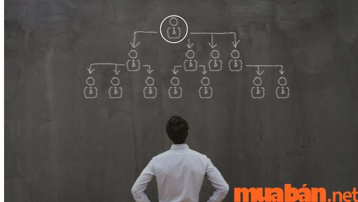 Cổ đông sáng lập nắm giữ phần lớn cổ phần của công ty.
