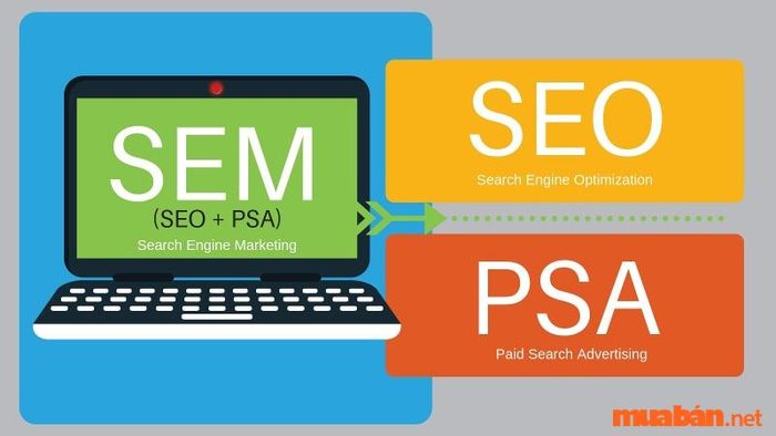 Quảng cáo tìm kiếm có trả tiền (PSA) nhằm mang lại hiệu quả cao hơn