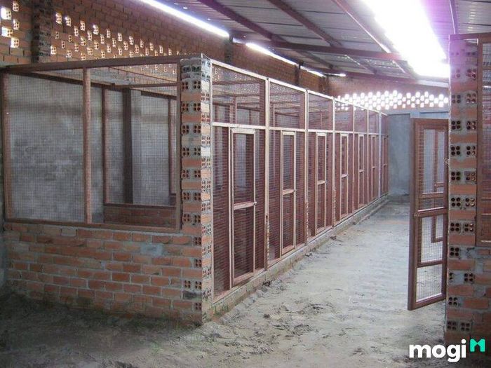 Chuồng nuôi nên được bố trí theo hướng nào?