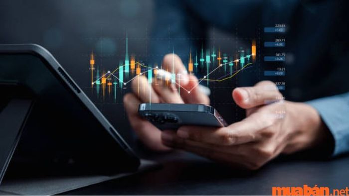 Trader là gì?