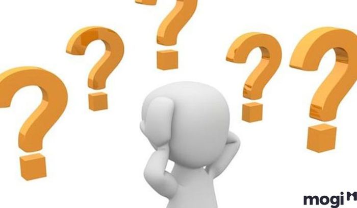 Đất có ý nghĩa gì đối với cây trồng?