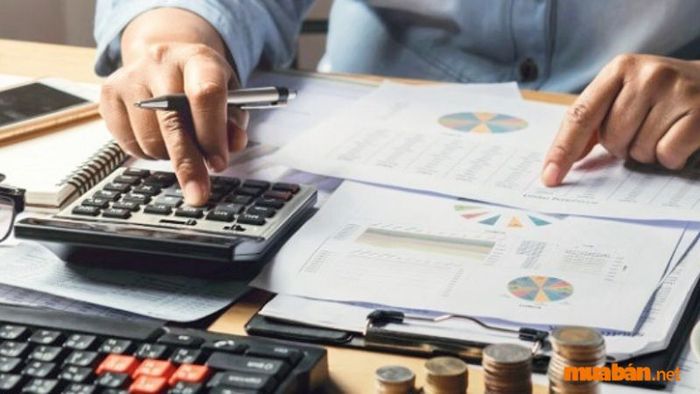 Công việc hàng tháng của kế toán thuế là gì?