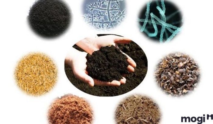 Phần rắn của đất trồng có ý nghĩa gì?