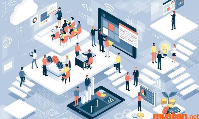 Doanh nghiệp có thể đánh giá lợi nhuận cũng như tiềm năng phát triển thông qua phân tích tài chính.