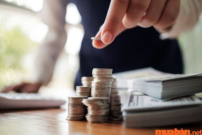 Phân tích tài chính hỗ trợ các nhà đầu tư trong việc dự đoán tiềm năng và rủi ro của các khoản đầu tư.