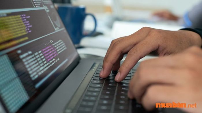 Công việc của lập trình viên là gì?