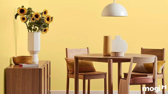 Màu vàng kem nhạt phối hợp với màu nâu đậm