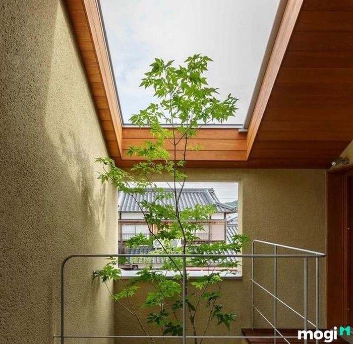 Nâng cao tính thẩm mỹ cho toàn bộ ngôi nhà