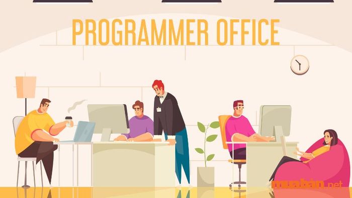 môi trường làm việc của lập trình viên
