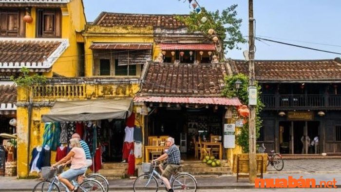 Xe đạp thực sự là sự lựa chọn tuyệt vời để bạn thoải mái dạo chơi và thư giãn.
