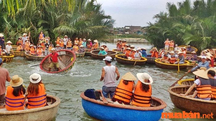Kinh nghiệm du lịch Hội An không thể thiếu trải nghiệm đi thuyền thúng trong rừng dừa Bảy Mẫu.