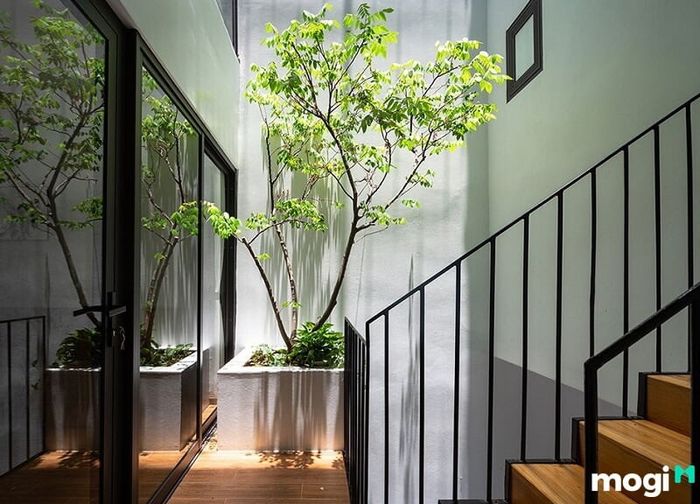 Chiếu sáng tự nhiên cho toàn bộ ngôi nhà.