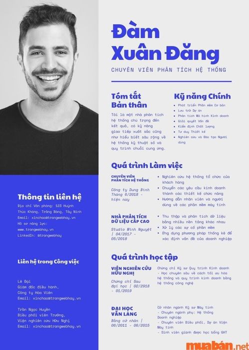 Mẫu CV điện tử 3