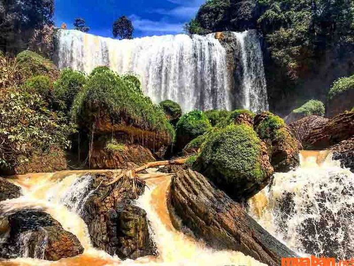 Thác Voi Đà Lạt