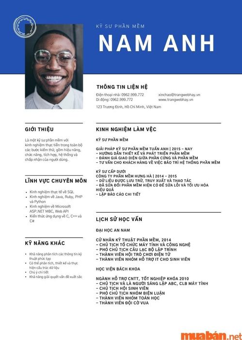 Mẫu CV điện tử 4