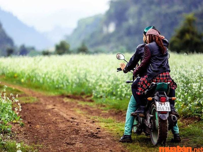 Kinh nghiệm thuê xe máy tại Đà Lạt