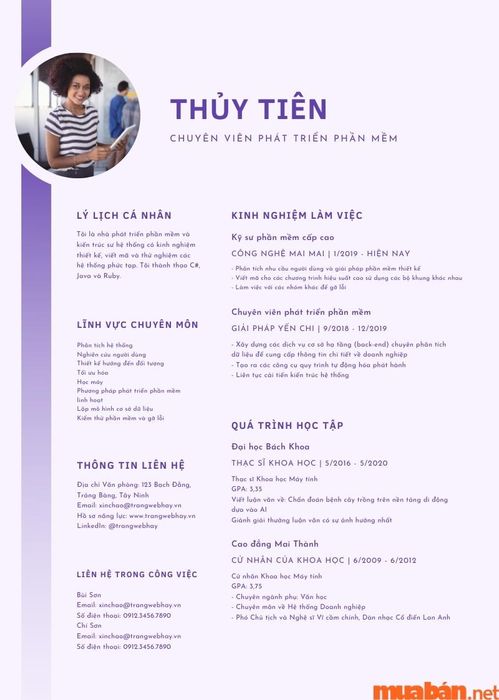 Mẫu CV điện tử 2