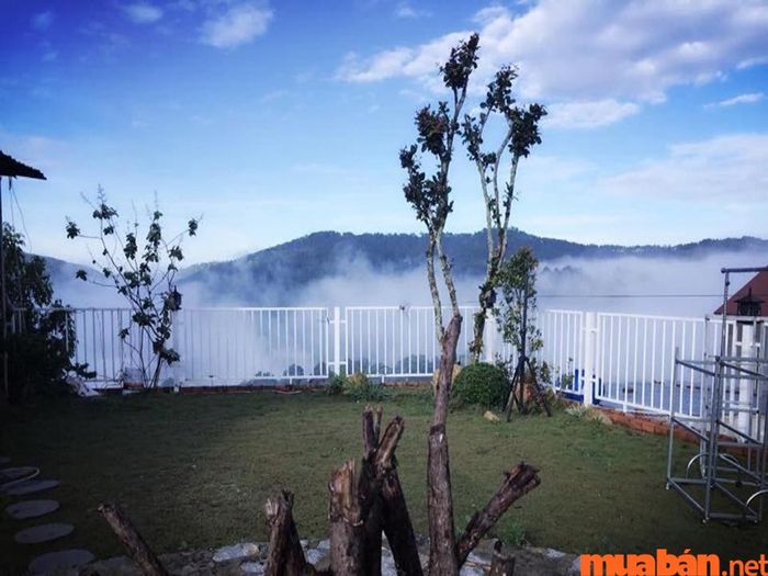 Dalat Topview