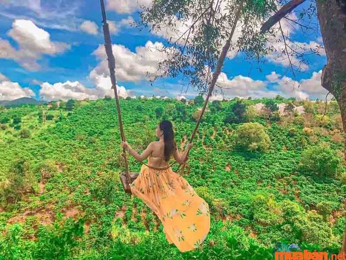 Kinh phí cho chuyến đi Đà Lạt