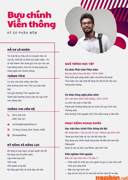 Mẫu CV điện tử 1