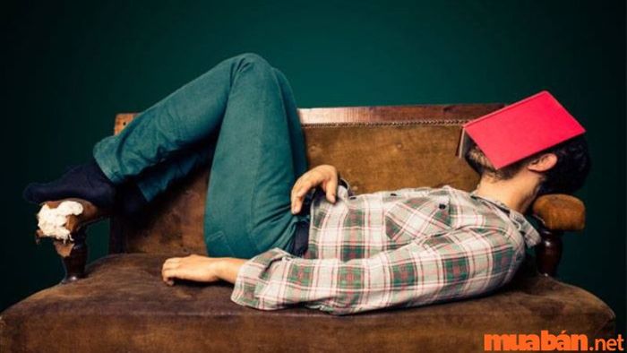 Không biết nên theo nghề gì, không có đam mê thì phải làm sao?