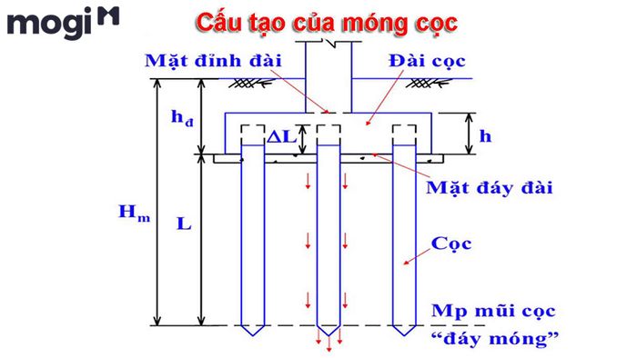Cấu trúc của móng cọc