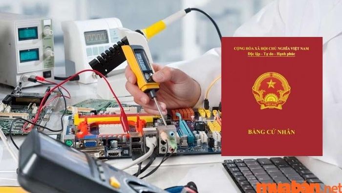 Trình độ học vấn