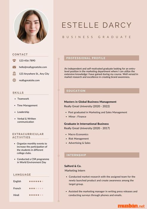 Mẫu CV PowerPoint thiết kế chuyên nghiệp