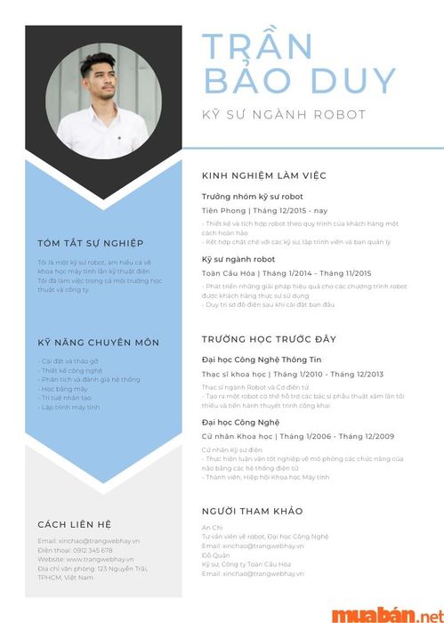Mẫu CV điện tử 5