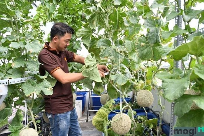 Chăm sóc và trồng cây giúp bạn cảm thấy thư giãn hơn.