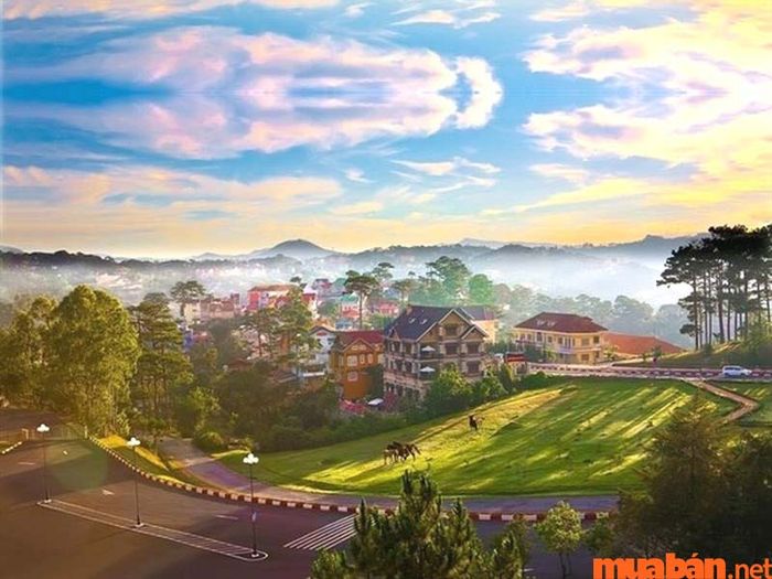 Những điều cần chú ý khi đến Đà Lạt?