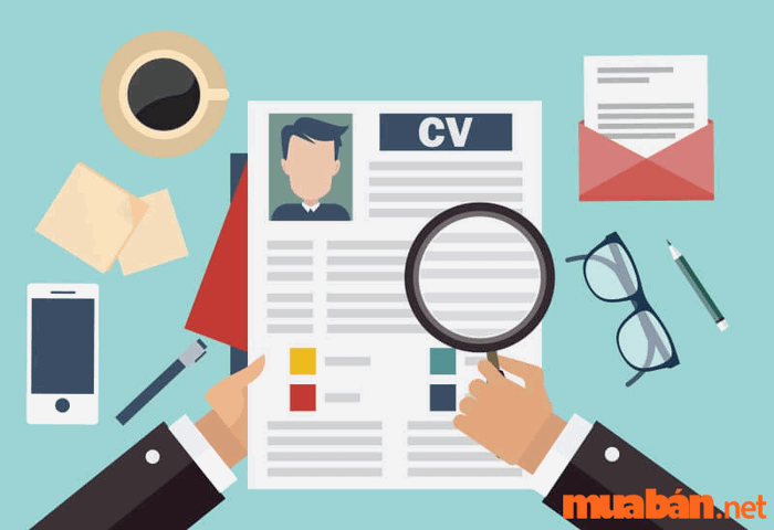 CV lập trình viên