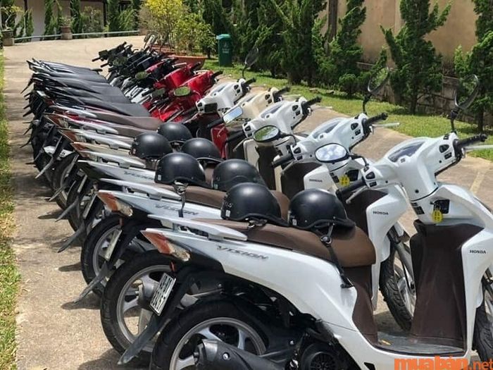 Địa điểm cho thuê xe Hoài Bảo nhận được nhiều sự tin cậy từ giới trẻ khi đến Quy Nhơn du lịch.
