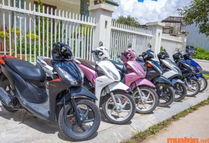 Khi thuê xe tại Bảo Tú, bạn sẽ được trải nghiệm dịch vụ giao xe tận nơi một cách tiện lợi.