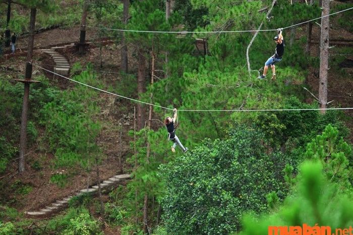 Trải nghiệm đu dây mạo hiểm - High Rope Course