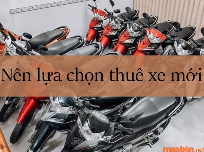 Lựa chọn thuê xe máy Quy Nhơn mới để đảm bảo an toàn khi di chuyển.