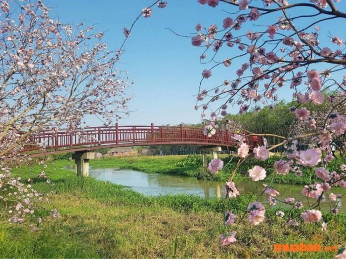 Công viên hoa Thủy Tiên