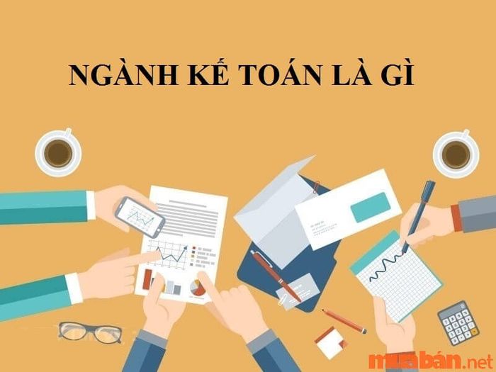 Tổng quan về ngành kế toán