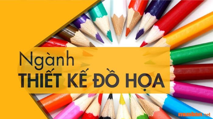 Lương trong ngành thiết kế đồ họa - Những thông tin cần thiết về lĩnh vực thiết kế đồ họa