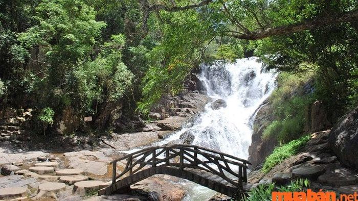 Nếu bạn chưa biết thác Datanla có gì chơi, hãy thử đi bộ xuyên rừng và ngắm cảnh nhé!