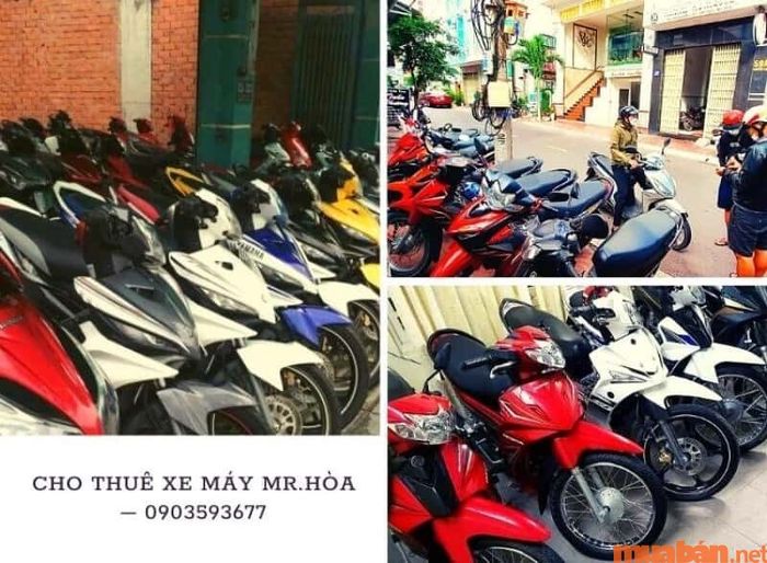 Tại Mr.Hòa, bạn có thể thuê xe máy Quy Nhơn với nhiều loại xe số và tay ga phong phú để lựa chọn.