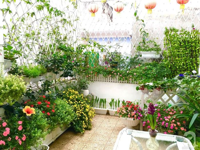 Tại đây, bạn có thể trồng nhiều loại cây theo sở thích của mình