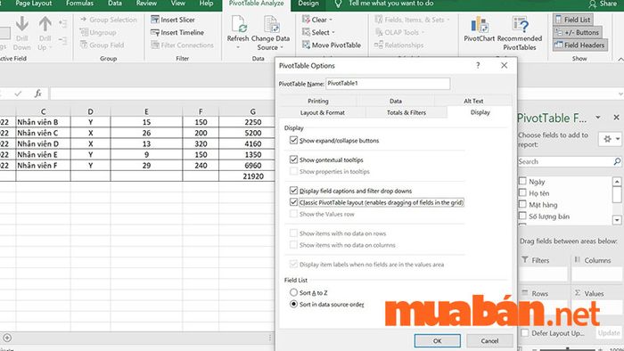 Pivot table là gì