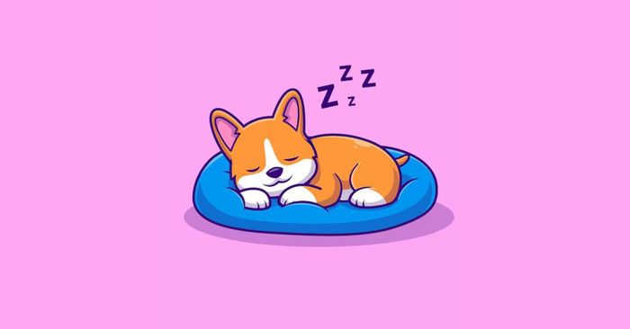 let sleeping dogs lie la gi y nghia cach dung bai tap ung dung