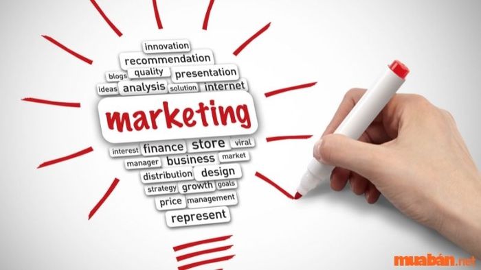 Kỹ năng Marketing