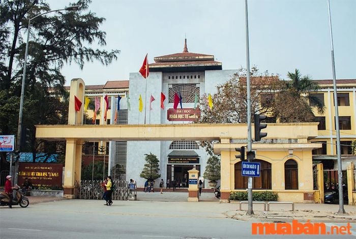 Danh sách các trường đại học đào tạo ngành hóa dược